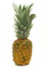Post image for Fruit of the Spirit: Longsuffering
