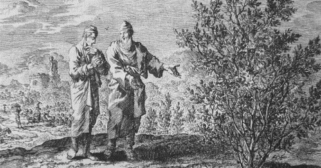 The parable of the Mustard Seed - An etching by Jan Luyken illustrating Mark 4:30-32 in the Bowyer Bible, Bolton, England.